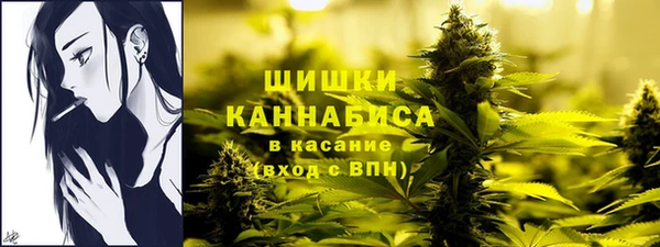 jwh Алзамай
