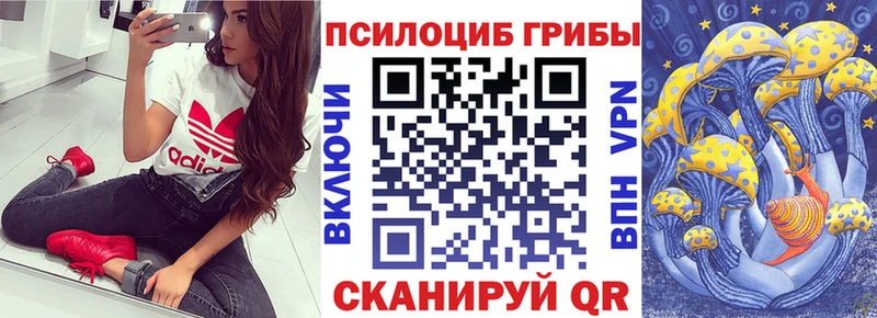 нарко площадка клад  Чапаевск  Галлюциногенные грибы Cubensis 