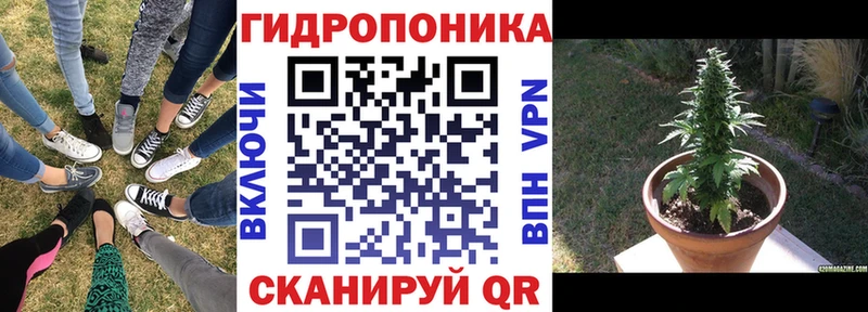 МАРИХУАНА ГИДРОПОН  Чапаевск 
